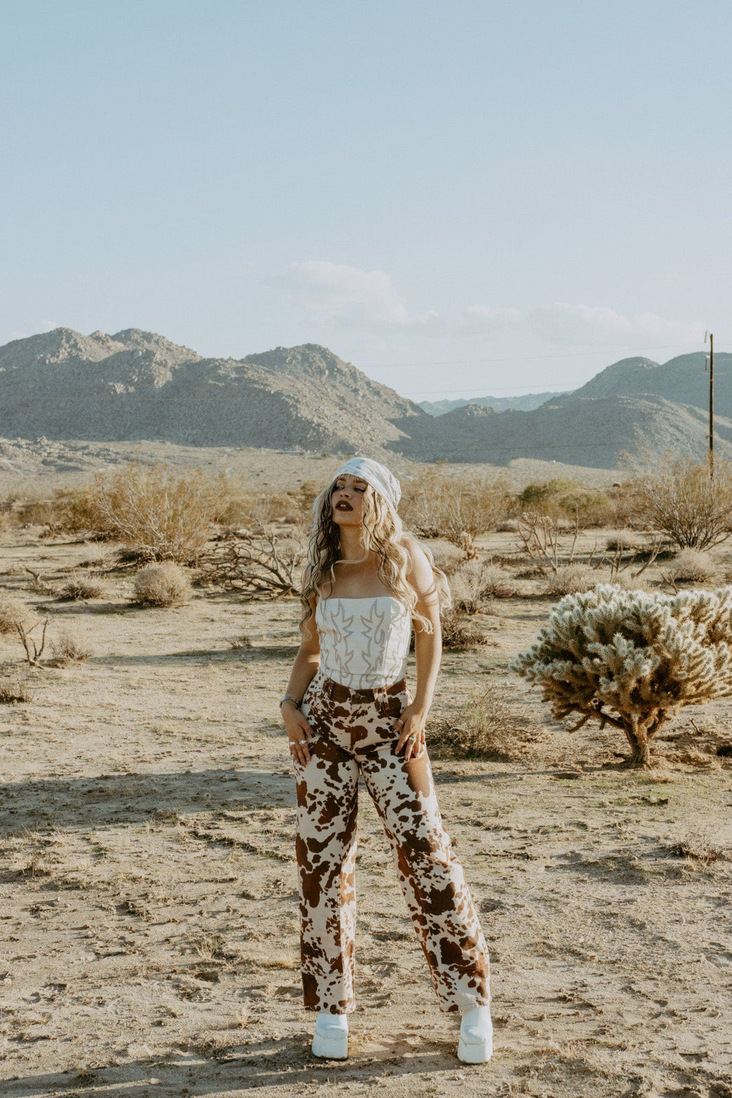 Free People We The Free Risk Taker Mid-Rise Printed Jeans