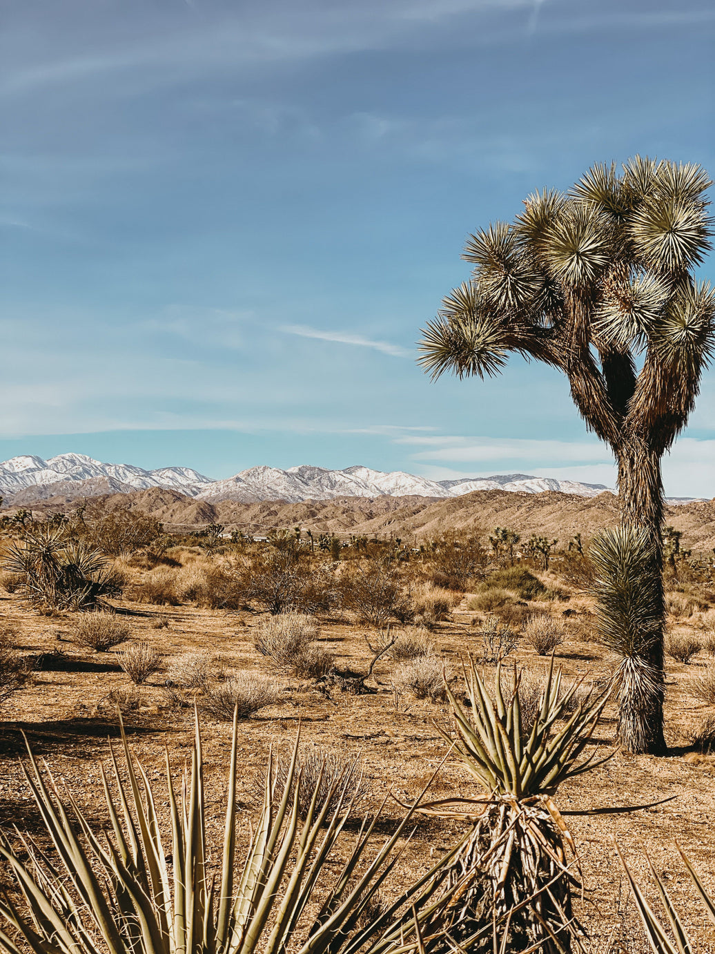 New Year, New Arrivals!