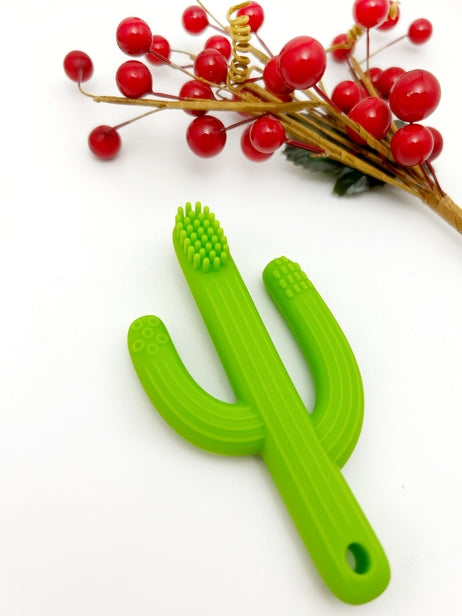 Cactus Toothbrush Teether - Roaming Travelers Joshua Tree, California