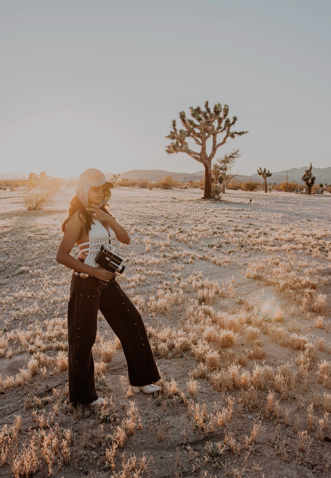 Brown Western Studded Pants