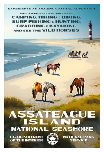 Assateague Island National Seashore - Roaming Travelers Joshua Tree, California