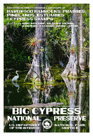 Big Cypress National Preserve - Roaming Travelers Joshua Tree, California