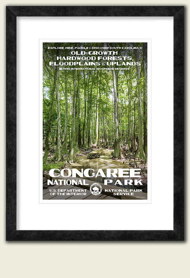 Congaree National Park - Roaming Travelers Joshua Tree, California