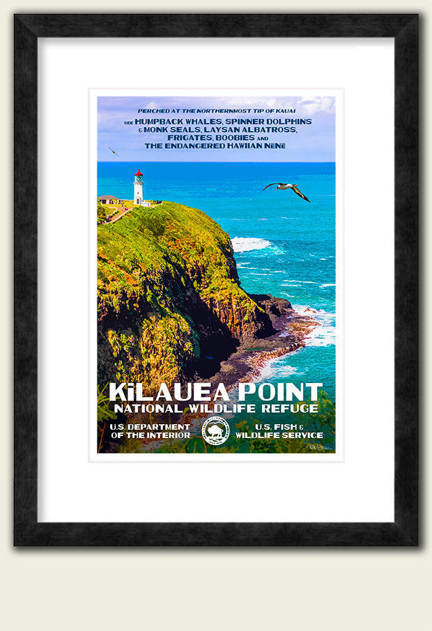 Kilauea Point National Wildlife Refuge - Roaming Travelers Joshua Tree, California
