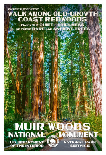 Muir Woods National Monument - Roaming Travelers Joshua Tree, California
