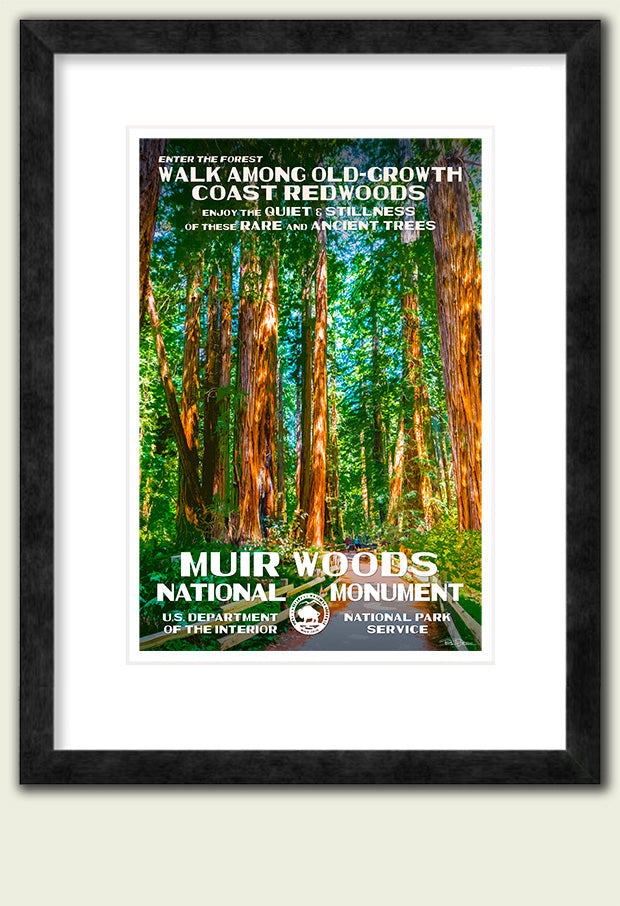 Muir Woods National Monument - Roaming Travelers Joshua Tree, California
