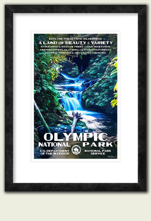 Olympic National Park - Roaming Travelers Joshua Tree, California