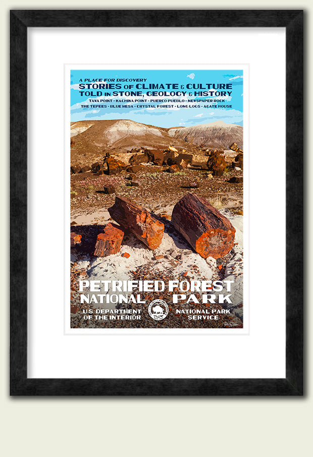 Petrified Forest National Park - Roaming Travelers Joshua Tree, California