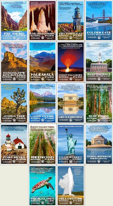 Postcard Collection | Series C - Roaming Travelers Joshua Tree, California
