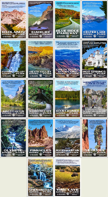 Postcard Collection | Series B - Roaming Travelers Joshua Tree, California
