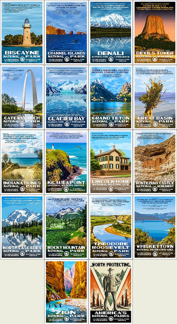 Postcard Collection | Series D - Roaming Travelers Joshua Tree, California