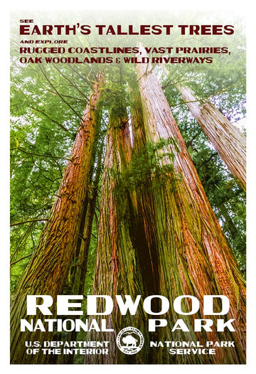 Redwood National Park - Roaming Travelers Joshua Tree, California