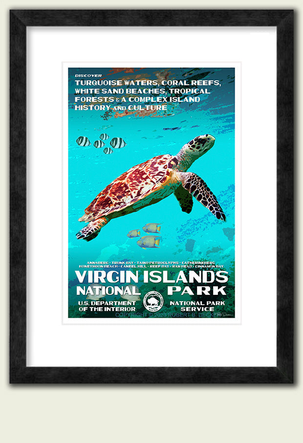 Virgin Islands National Park - Roaming Travelers Joshua Tree, California