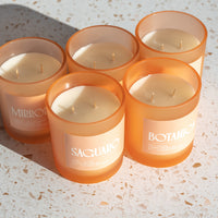 Santal Candle | 8oz