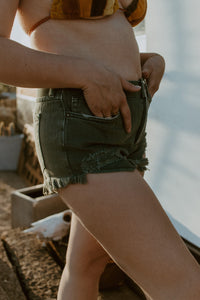 Free People Shorts 24 Good Vibrations Cut Off Shorts