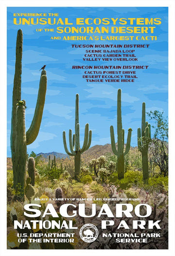 Saguaro National Park - Roaming Travelers Joshua Tree, California