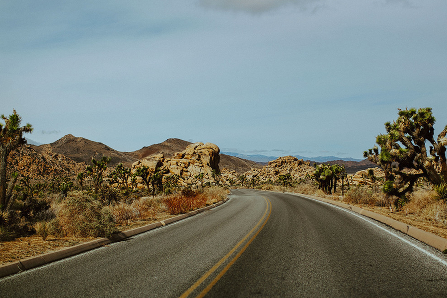 Wildsam Guide: Desert Southwest - Roaming Travelers Joshua Tree, California