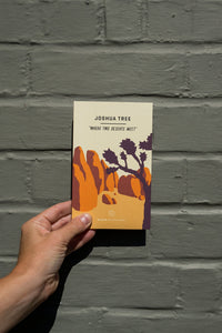 Faire Wholesale Books Wildsam Field Guide: Joshua Tree National Park