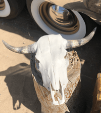 Roaming Travelers Home Decor Authentic Bullhead | Cow Skull